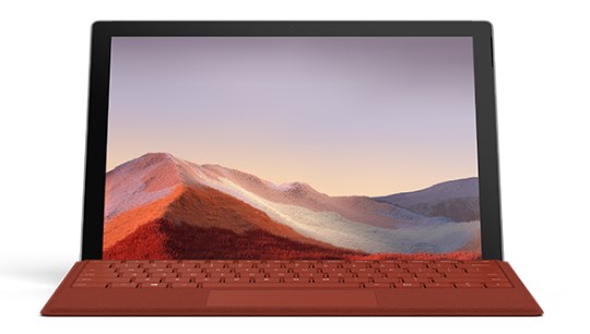 昌化镇清洁和维护 Surface